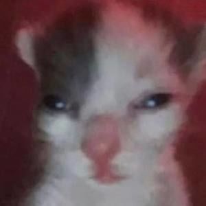 Meet your Posher, Adele